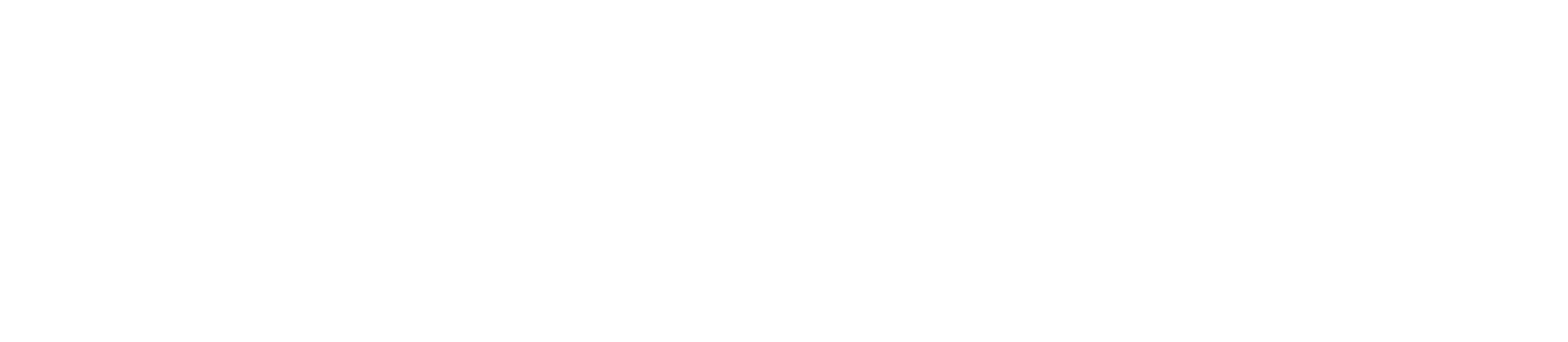 株式会社wellicious